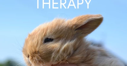 animal therapy
