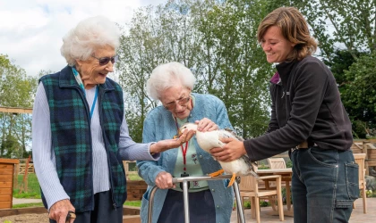 Allonsfield Care Home Near Saxmundham engagement with Allonsfield therapy farm animals